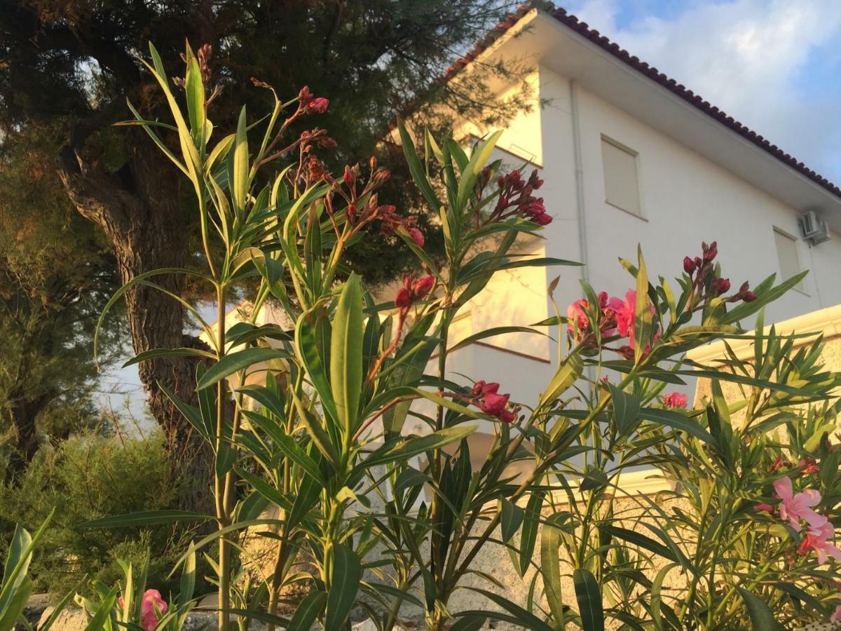 Rivamare Campora Casa Vacanze Campora San Giovanni Kültér fotó